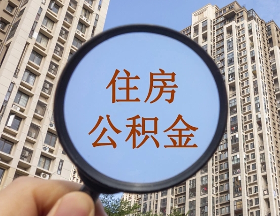 珠海市住房公积金管理中心主任（珠海市住房公积金管理中心地址）
